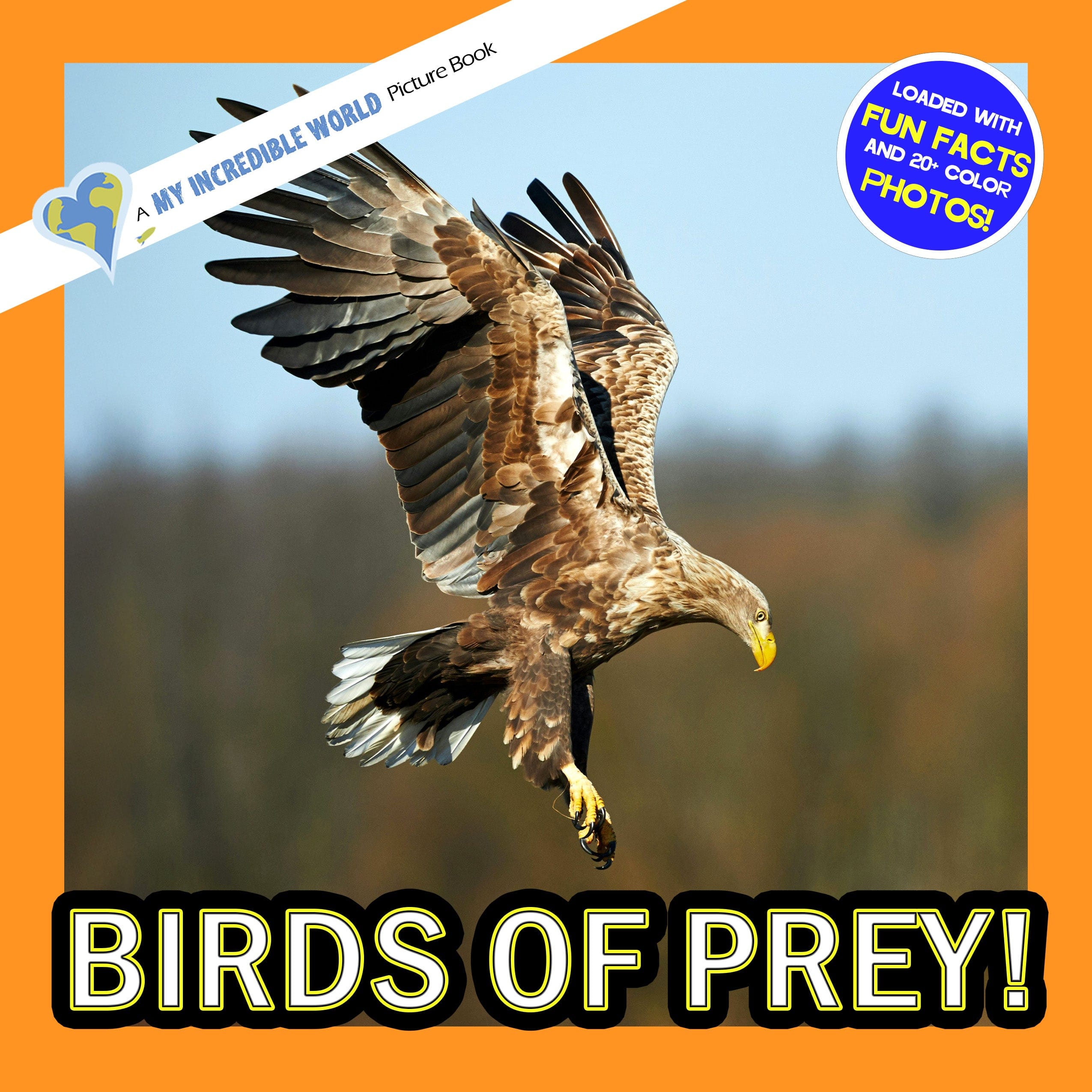 Birds of Prey! A My Incredible World Picture Book for Children